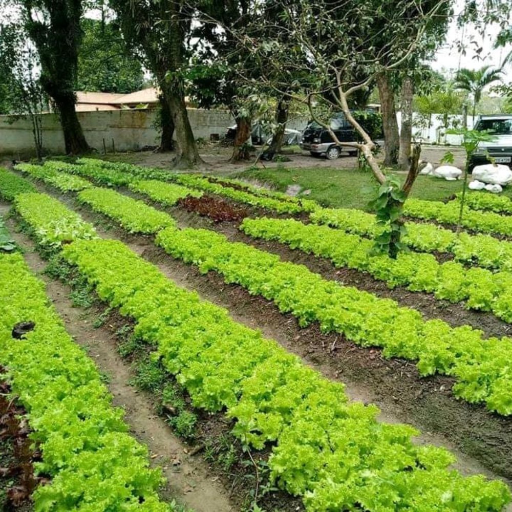 Unidade 8 — Foto 2